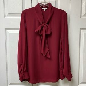 Classy Neck Tie Blouse